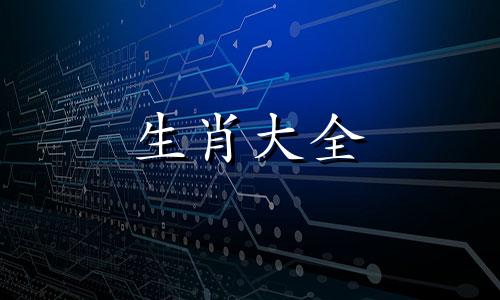 属兔人2024运势运程详解视频
