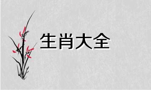 属马人2024年全年运势运程