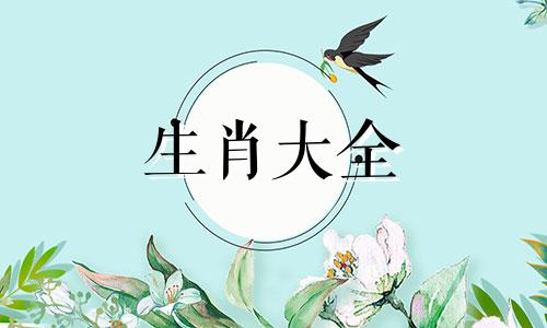 属猪最倒霉的年份是哪一年出生