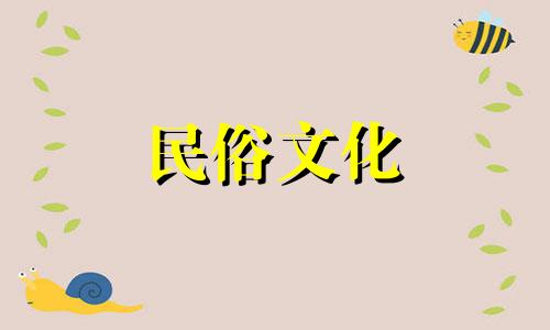 属马水瓶座2024年运势及运程详解