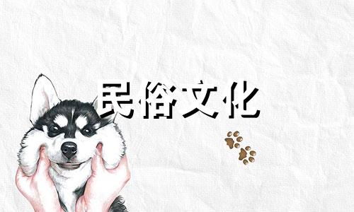 属蛇水瓶座2024年运势如何