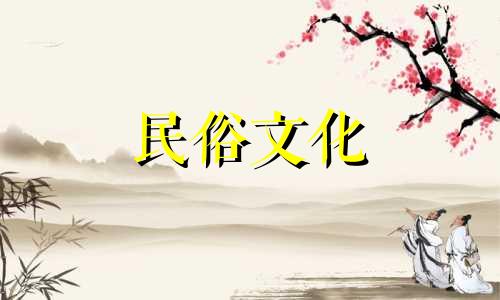 什么植物不适合摆放在办公室里