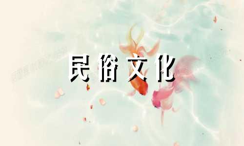 办公室摆放什么植物对风水和身体好