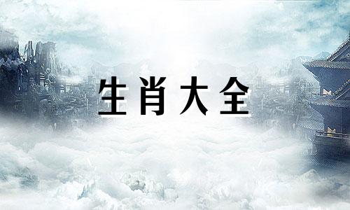 99年的男兔和97年的女牛相配吗