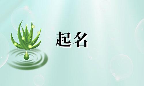 可爱网名大全女生超萌清新带符号英文