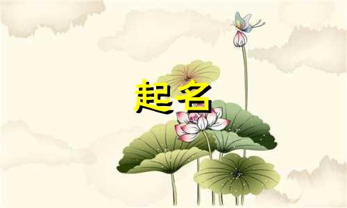路姓有内涵的男孩名字 路姓男孩起名大全