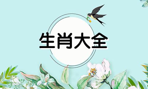 属羊人和什么属相最合适婚姻