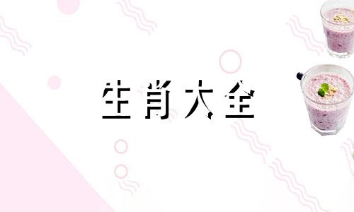 属猪的穿龙图案的衣服好吗