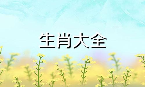 66年属马人2024年运势运程