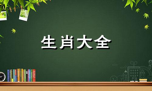 1971年属猪2024年大龙年财运手