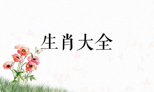 属猪女铺子里放什么花招财呢