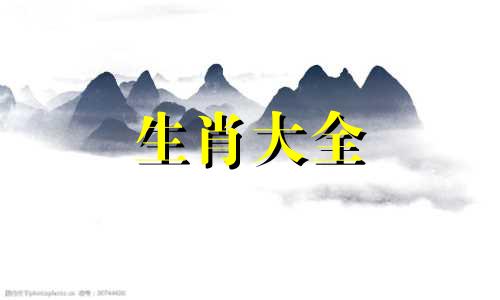 属猪比属蛇的大19岁好吗女