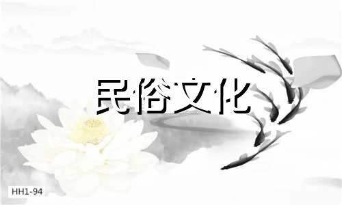 火命适合养什么花招财运 火命适合养什么绿植