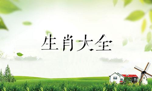 喜欢算计老婆的生肖男 最有担当的好男人生肖