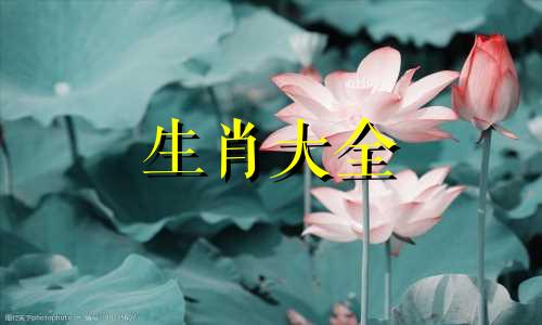婚姻注定坎坷的生肖女有哪些