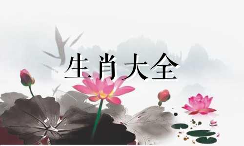 06年属狗人适合做什么生意