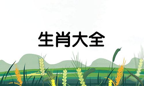 94年属狗最招财的颜色是什么