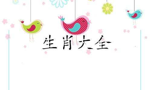 2025蛇年属马人的全年运势如何