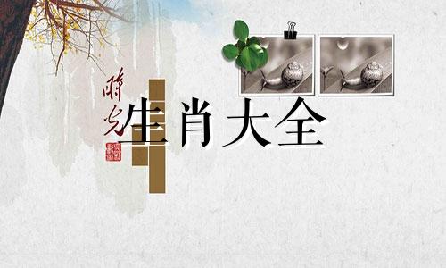 2026年是属猪人最大转变的年份吗