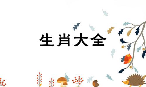 96年属鼠女最佳婚配属相男