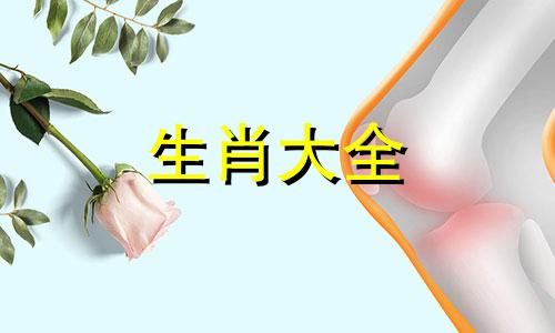 2002年正月初六感情男运势如何