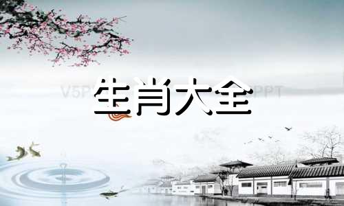 2004属猴的人是什么命,十一月初四上午11点出生的