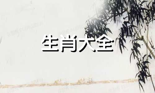 2027属鸡人的全年运势如何1981