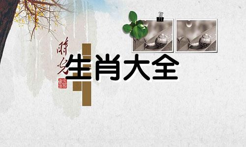 2004年属猴男孩2022年运势