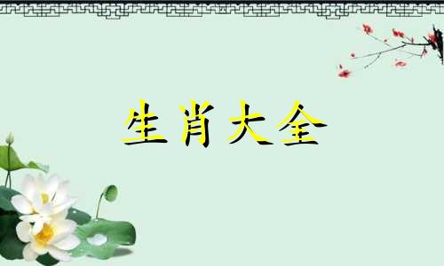 2027年属鸡人的全年运势详解