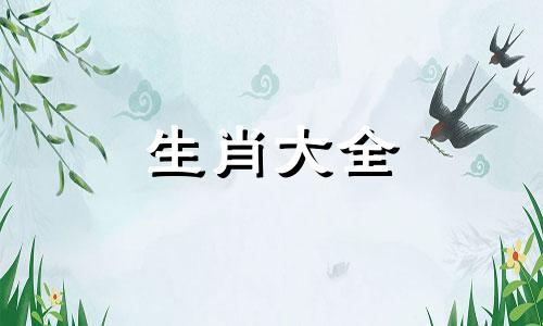 属蛇的人呆在哪个城市工作好呢
