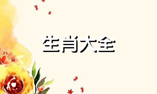 属猪佩戴什么饰品旺财2023年