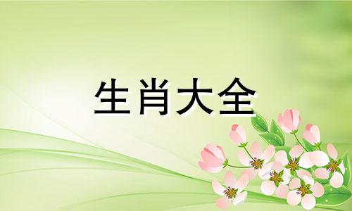 属猪人不能和什么人走在一起
