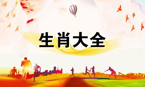 属羊人养什么宠物最好吉利