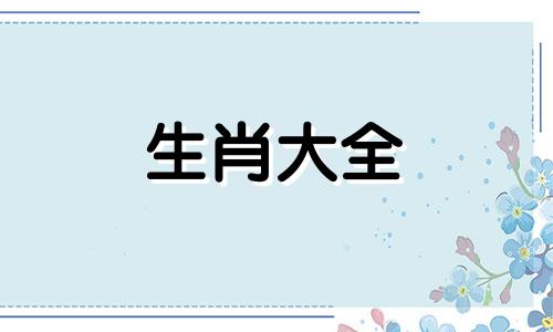 属兔人性格特点及脾气男 属兔人性格特点及脾气怎么样