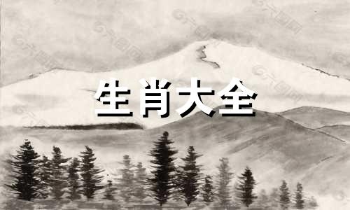83年属猪后半生命运和财富如何