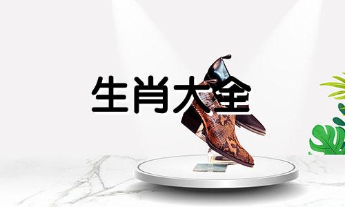 94年属狗结婚忌哪4个属相伴娘
