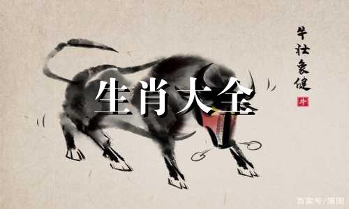 74年属虎50岁以后的一生命运