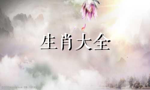 78年属马人2025年运势及运程