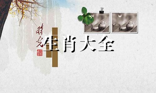 2002属马几岁遇真爱卜易 2002年属马适合几岁结婚