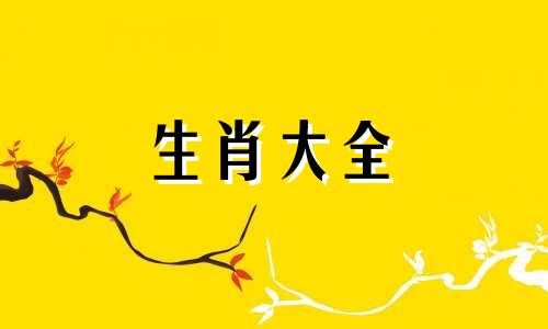 2008年属鼠是什么命金木水火土属性