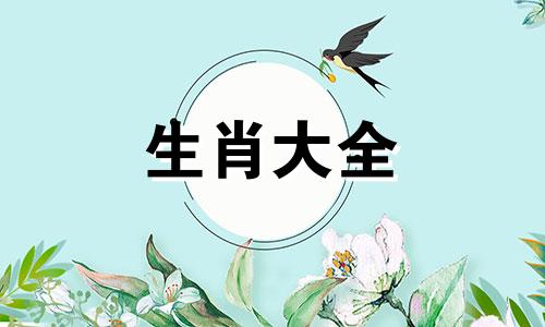 2008年的腊月属鼠的人好吗女