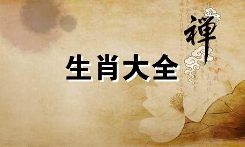 属鸡的人和什么生肖最配对