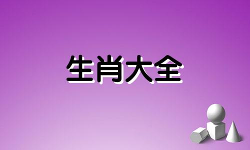 1991年属羊人2025年运势运程