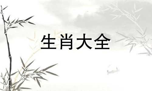 2019年属猪2025年运势及运程详解