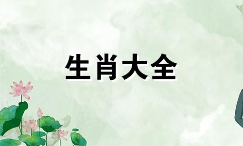 1999年属兔2025年的运势及运程男性