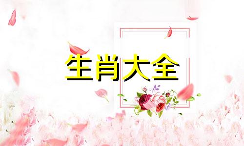 2025年属兔运势及运程详解视频