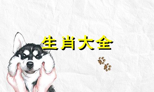 生肖兔2025年的运势及运程