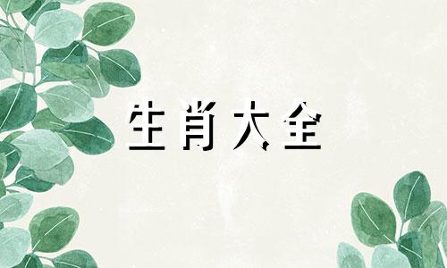 属鼠人未来三年运势如何呢