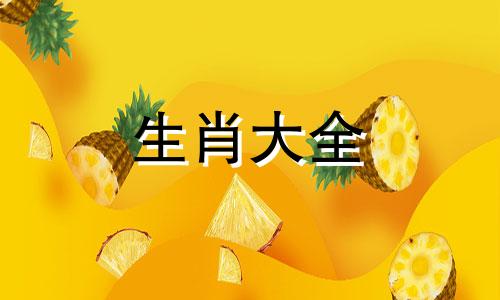 属猪人2025年的运势如何呢