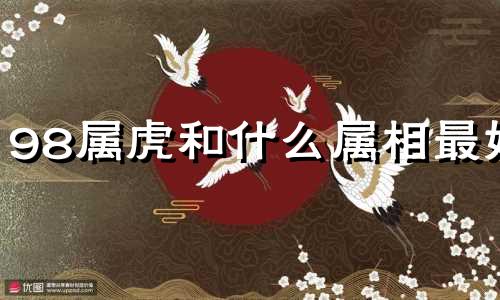98属虎和什么属相最好 86属虎和什么属相最好